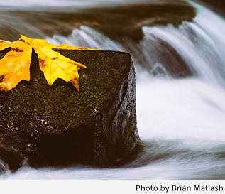Photo by Brian Matiash