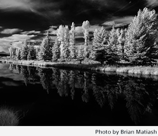 Photo by Brian Matiash