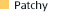 Patchy