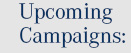 Upcoming Campaigns: 